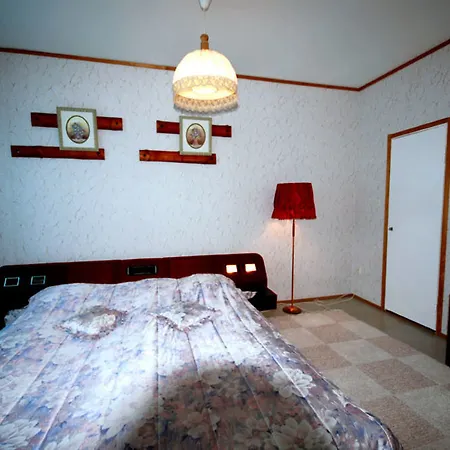 Guest house Jaemsaen Gasthaus 2*